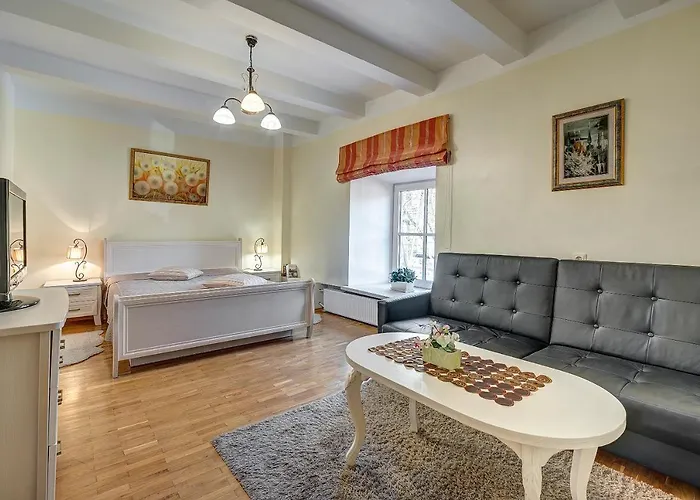 公寓 Vidos Apartamentai 2 维尔纽斯